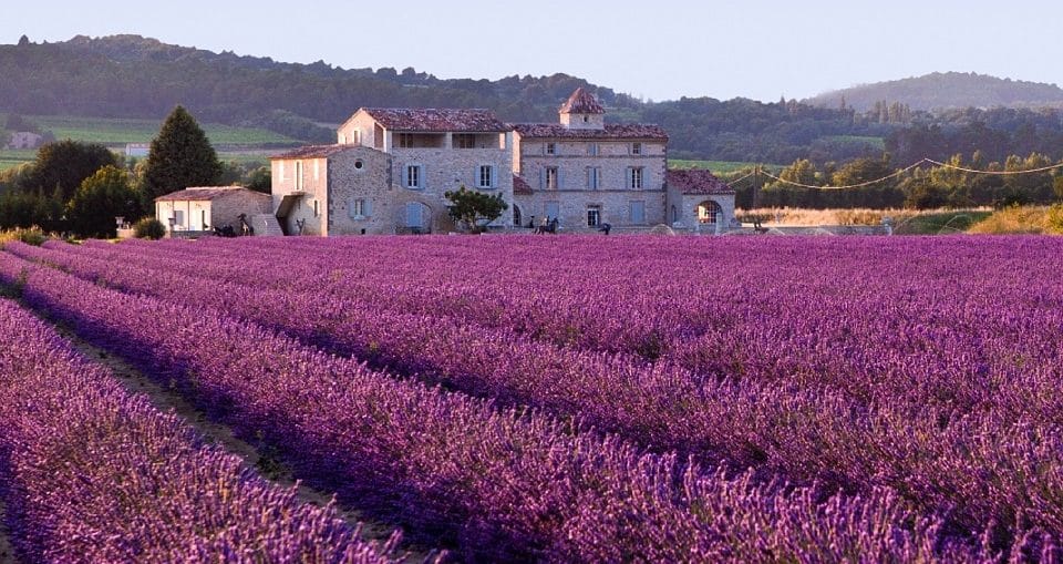 casa campo lavanda